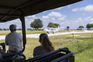 2-Day Serengeti Fly-In Fly-Out Expedition