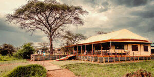 3-Day Serengeti & Ngorongoro Camp & Lodge Experience