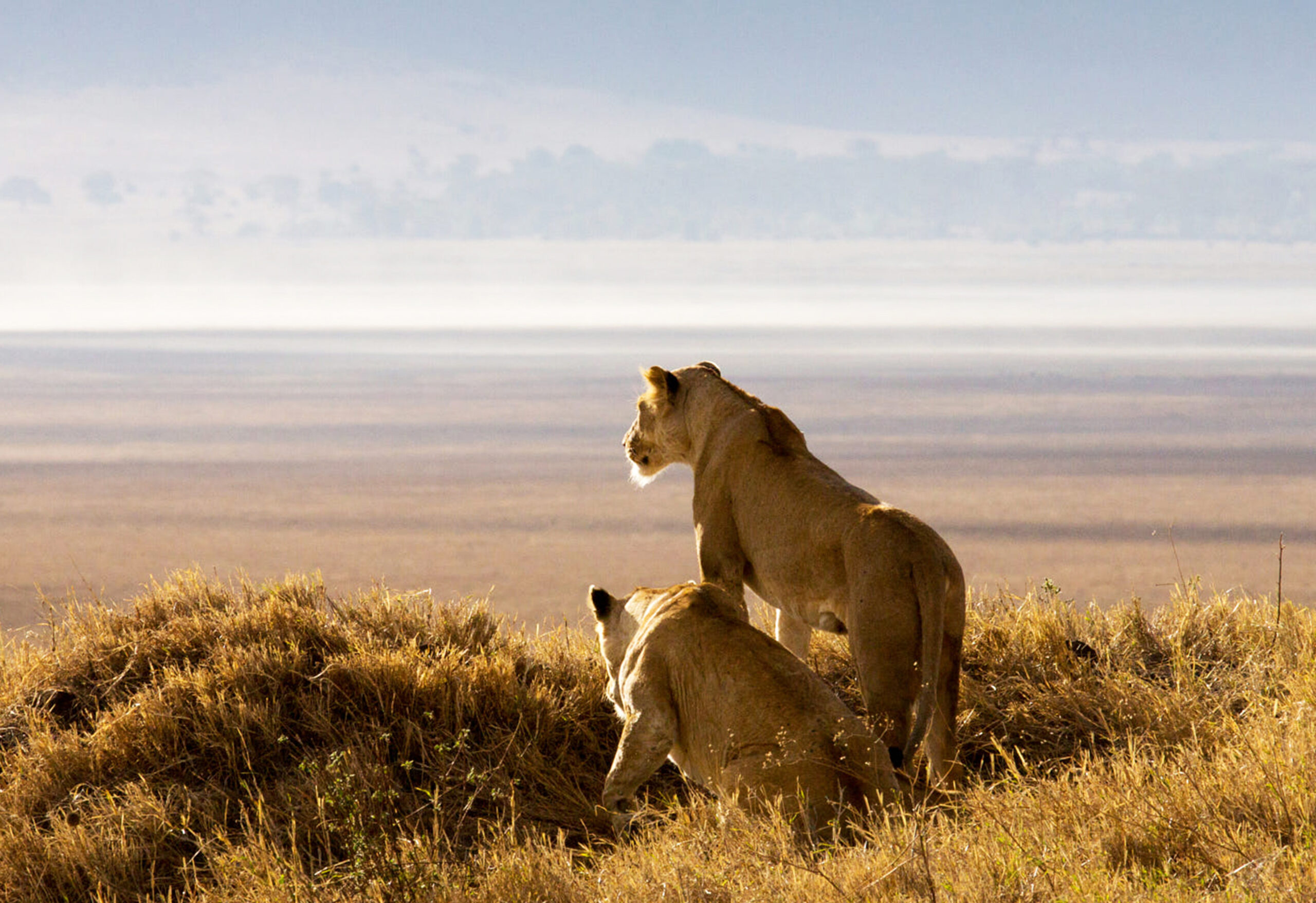 5-Day Tanzania Mixed Camping & Lodge Safari Tour