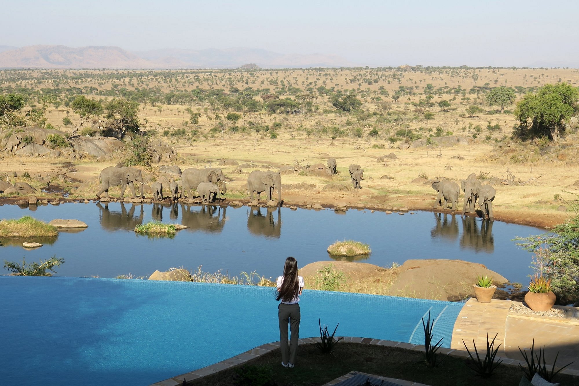 Four Seasons Safari Lodge Serengeti