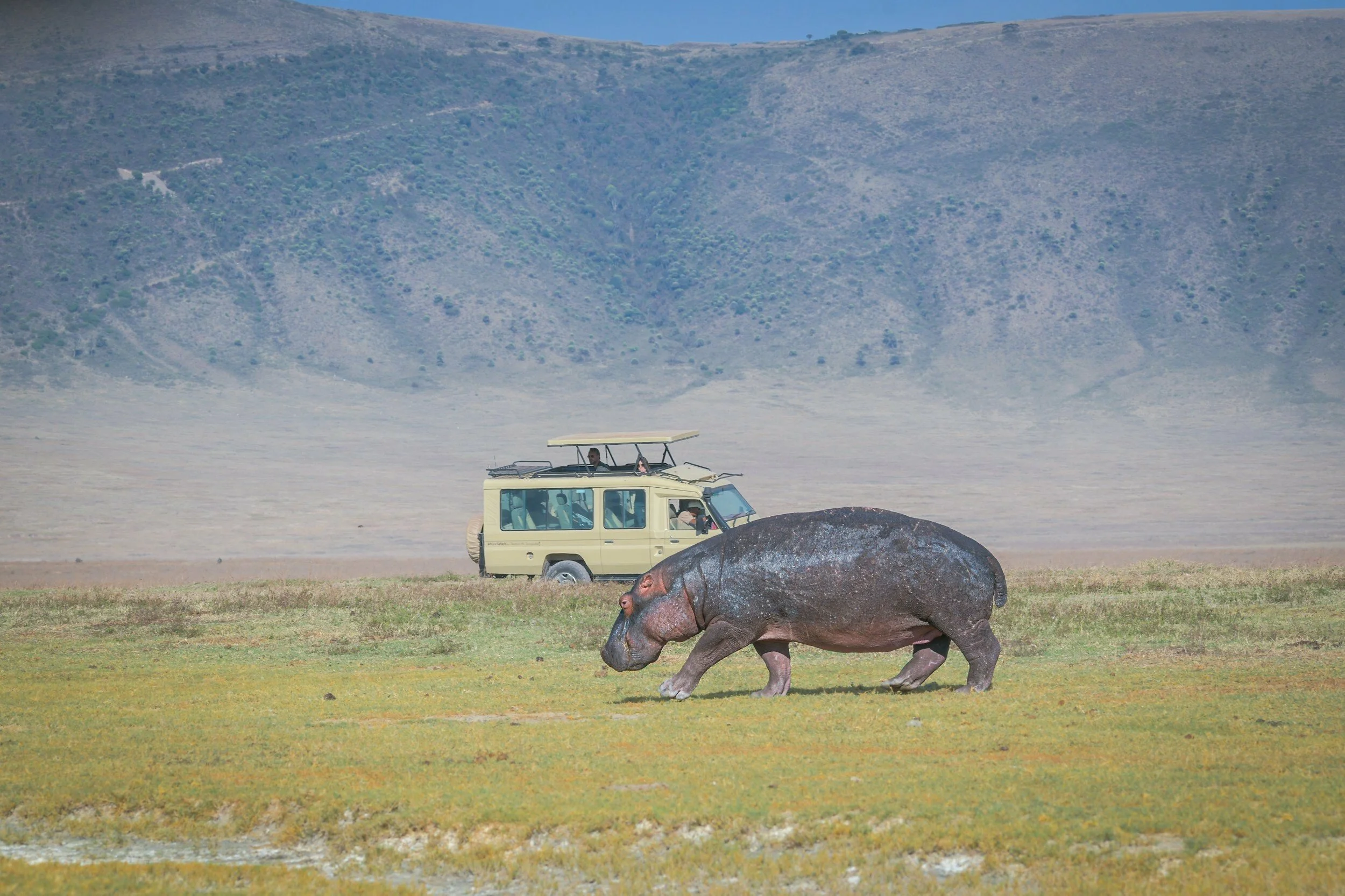 Full Day Game Drive in Ngorongoro Crater