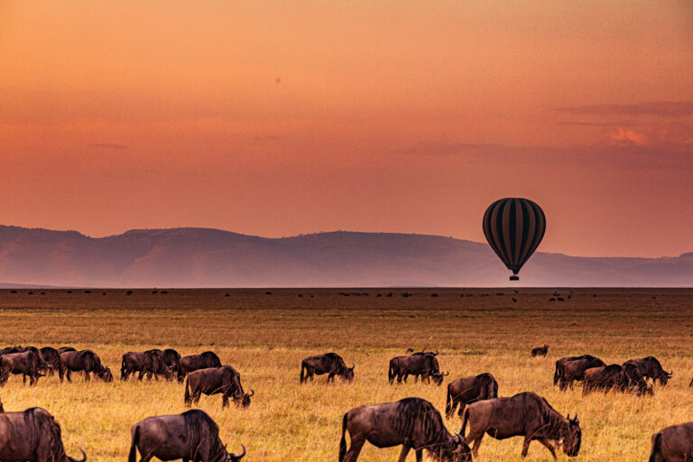 8-Day Serengeti Great Migration River Crossing
